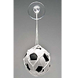 Soccer Mini Ball and Net