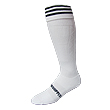 Twin City Championship Mesh Sock (White/Black)
