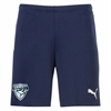 Florida Hawks FC PUMA Team Goal Shorts - Navy/White FHFC-705752-06