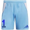 Wellington Soccer Club adidas Tiro 24 Goalkeeper shorts - Semi Blue Burst/Team Royal Blue WWSC-IT2412