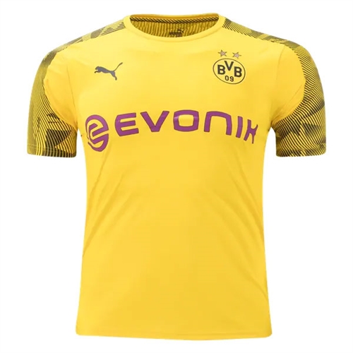 puma borussia puma borussia