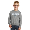 Florida Hawks FC Youth Core Fleece Crewneck Sweatshirt - Athletic Heather FHFC-PC90YAH