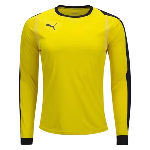 puma short sleeve goalkeeper jersey
