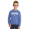 Florida Hawks FC Youth Core Fleece Crewneck Sweatshirt - Carolina Blue FHFC-PC90YCB