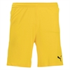 Puma Team Final 21 Shorts - Yellow 704257-07