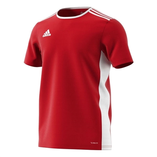adidas entrada 18 jersey white