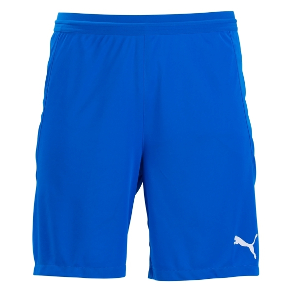Puma Youth Team Final 21 Shorts - Blue 