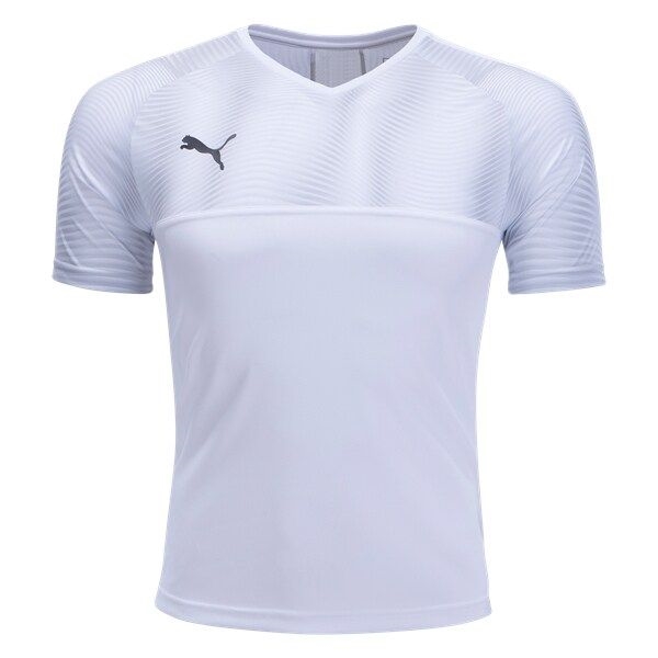 puma cup goalkeeper jersey