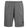 Puma Women's Liga Shorts - Steel Grey/Black 703432-13