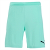 Puma Team Final 21 Shorts - Green Glimmer 704257-21