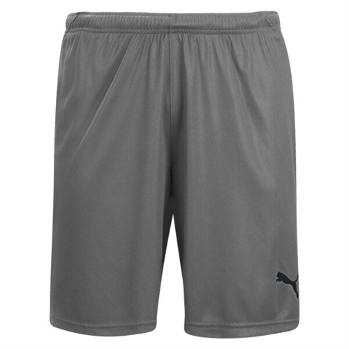 puma soccer shorts