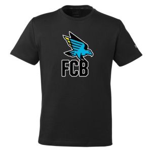FC Birmingham Puma Essential Logo T-Shirt - Black/Grey FCB-582006
