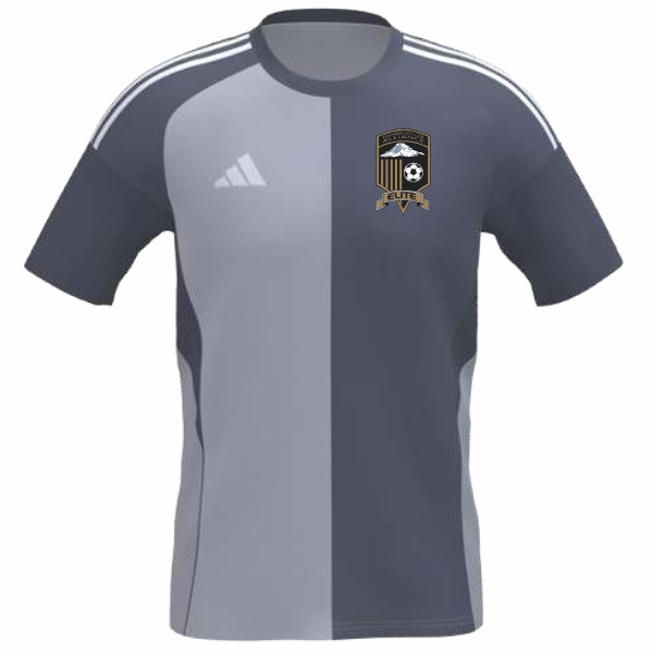 Rainier Soccer Alliance Elite adidas Mi Tiro 25 Competition Jersey - Light Grey/Onix RSA-JF2879