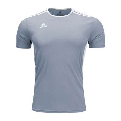 adidas Entrada 18 Jersey - Silver/White CD8382