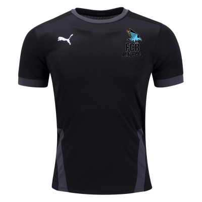 FC Birmingham Puma Team Goal 23 Jersey - Black/Asphalt BCFC-704171-03