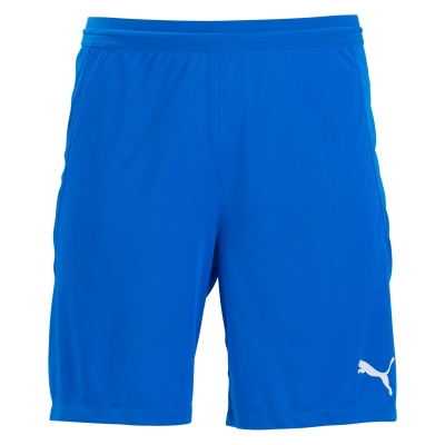 FC Birmingham Puma Team Final 21 Shorts - Blue BCFC-704257-02