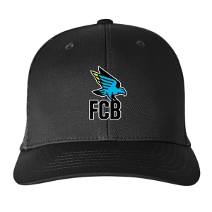 FC Birmingham Puma 110 Snapback Trucker Cap - Black FCB-226750101