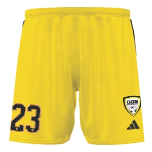 Golden Goal Sports adidas Women's miEntrada 22 Shorts - Team Yellow/Black GGS-IA0412Y
