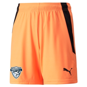 Florida Hawks FC Puma Youth Team Liga 25 Goalkeeping Shorts - Neon Citrus/Black FHFC-704931-21