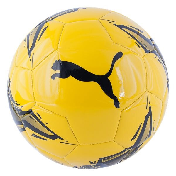 puma ball puma ball
