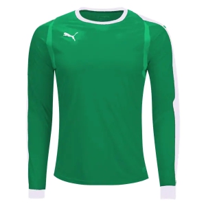 Puma Liga Goalkeeper Jersey - Kelly Green 703442-05